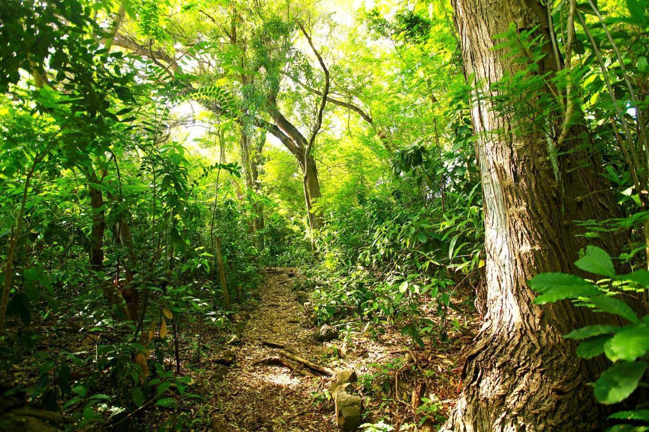 Pousada Do Vale Fernando de Noronha Bagian luar foto