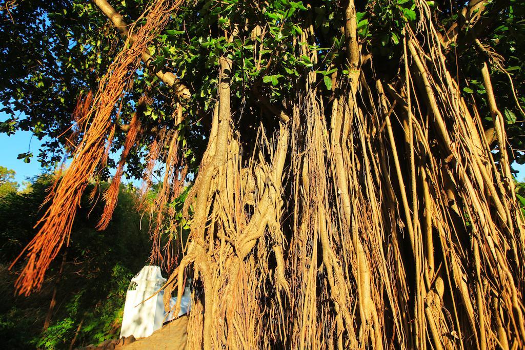 Pousada Do Vale Fernando de Noronha Bagian luar foto